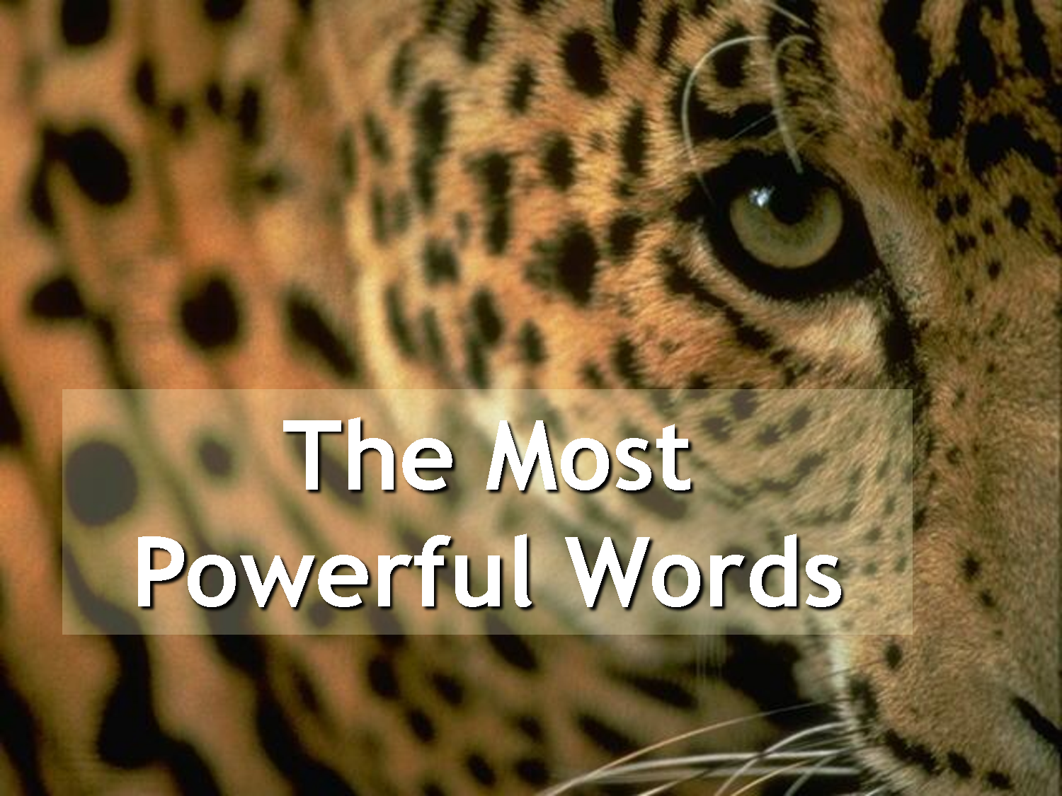 most powerful words